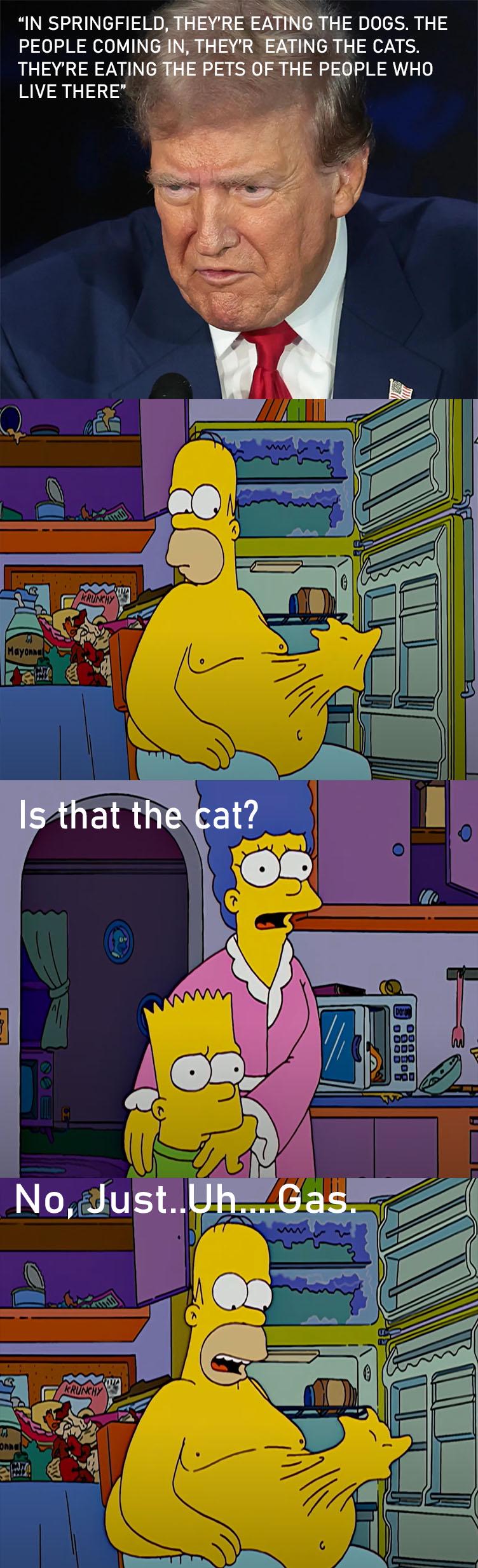 In Springfield, they're eating the dogs. The people coming in, they're eating the cats, they're eating the pets of the people who live there. Is that the cat? No, just...uh...gas.